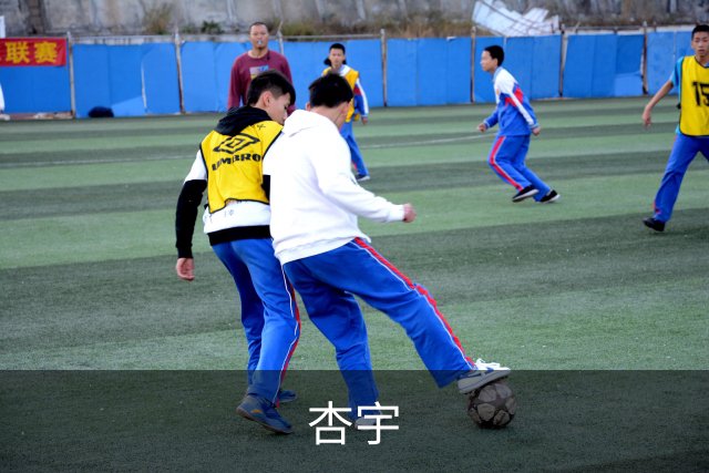 杏宇公司介绍图片